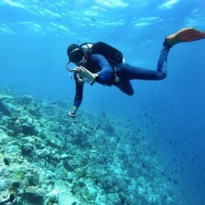 Inmersiones en barco en La Herradura